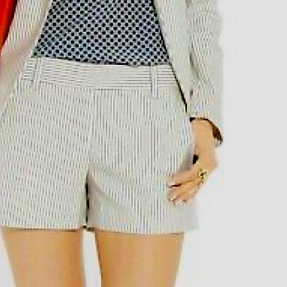 🩳- Theory Yanima Canvas Stripe Shorts Size 4! NWT! - Picture 2 of 11